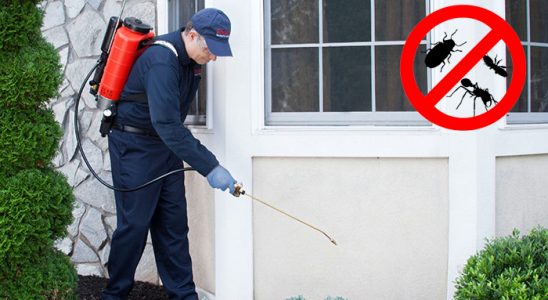 Perşembe Kemirgen İlaçlama böcek ilaçlama ve haşere kontrolü — ilaclama-tr.com
